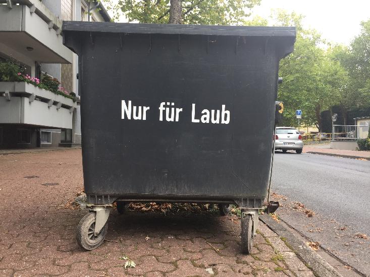 Das Bild zeigt einen Laubcontainer.