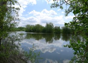 Bild Teich in Lippramsdorf