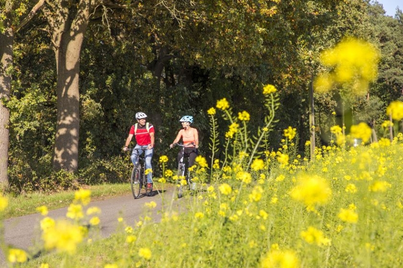 Radfahrer unterwegs- Foto Jochen Tack