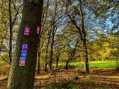 Wanderweg mit Ausschilderung