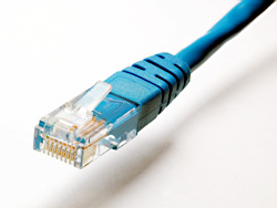 Das Bild zeigt ein Netzwerkkabel.
