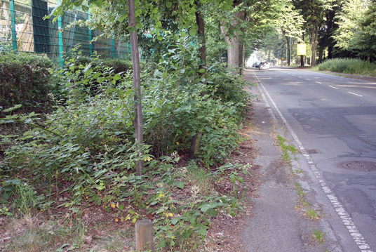 Das Bild zeigt die Konrad-Adenauer-Allee