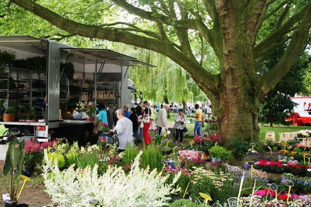 Park mit Blumenstand