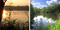 Bildkollage Impressionen von Seerosenteich und Vogelvennteich