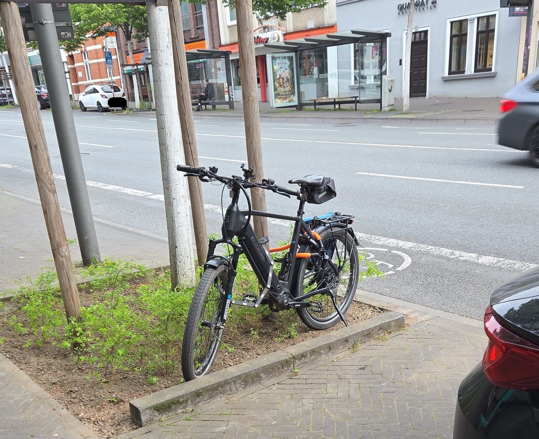 Ein Fahrrad steht in einer bepflanzten Baumscheibe am Wallring. Foto: Stadt RE