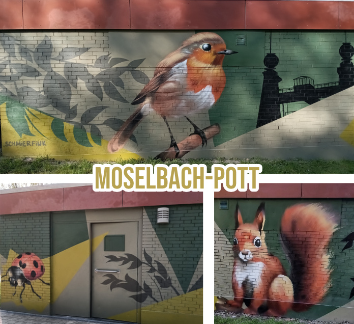 Collage von Bildern der neu gestalteten Fassade